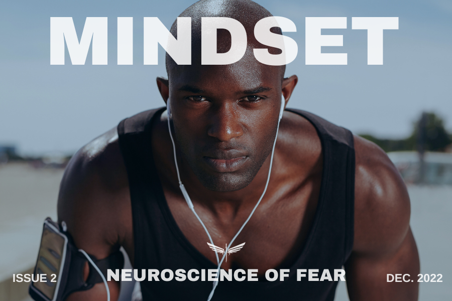 Mindset - Neuroscience of Fear